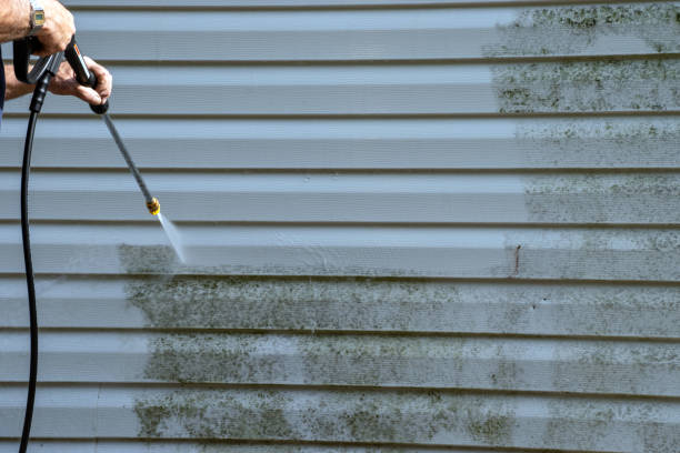 Demolition Debris Removal in Waldo, FL